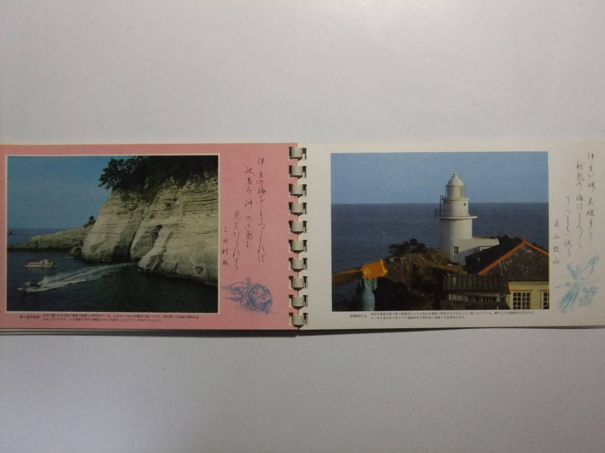 ☆☆V-5317★ 静岡県 伊豆周遊 写真帖 海水浴場 温泉 ★レトロ印刷物☆☆_画像4