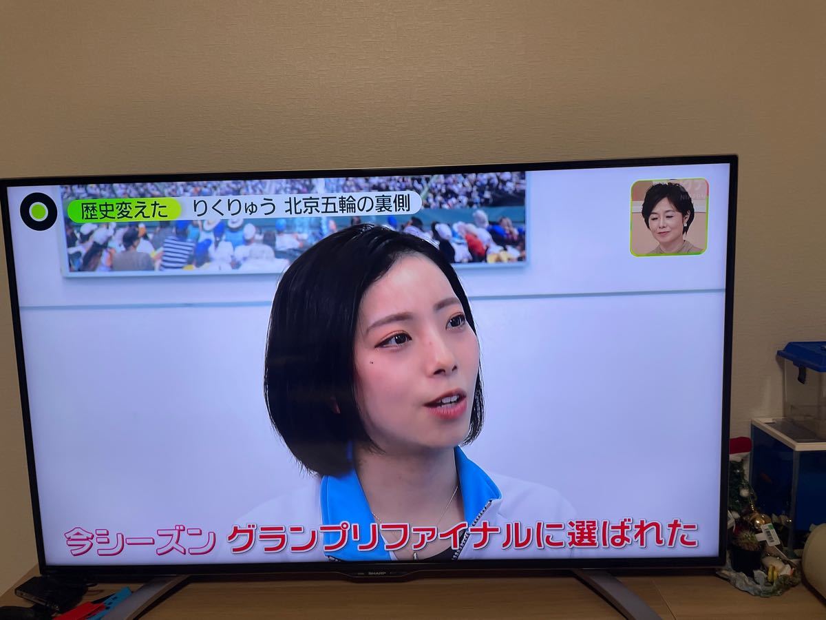 大切な シャープ AQUOS ジャンク品 2015年製造 LC-55U30 テレビ 大切な シャープ AQUOS ジャンク品 2015年製造 LC-55U30 テレビ