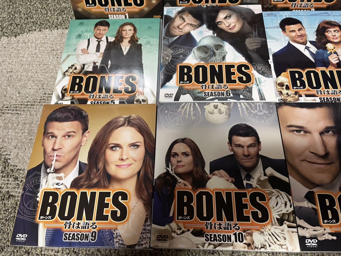 BONES ボーンズ DVD 全12シーズン コンパクトボックス コンプリート