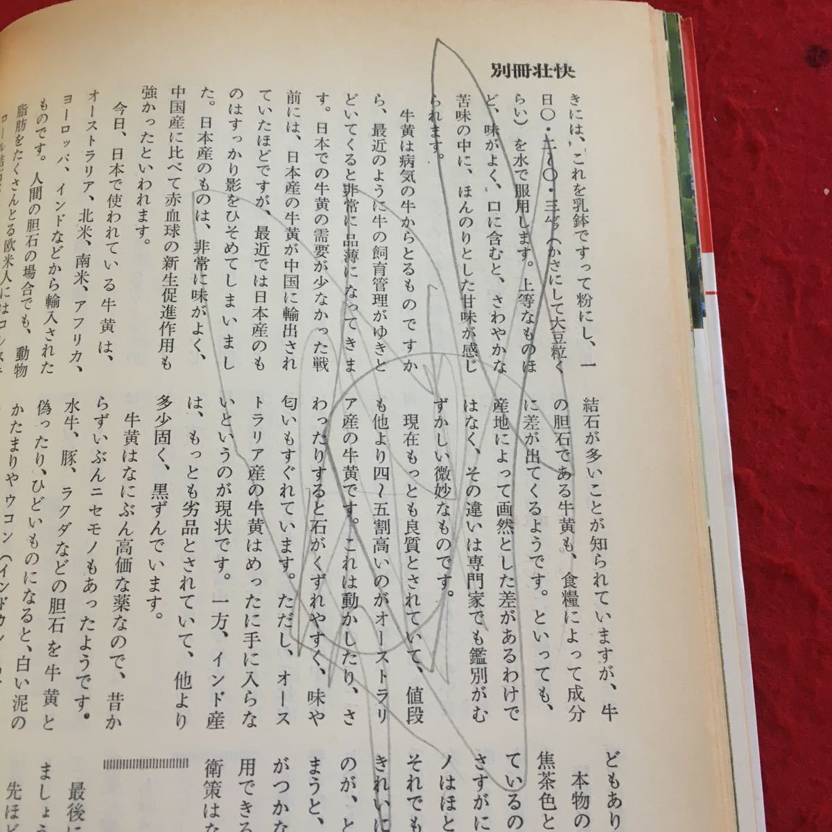 Y16-115 薬食健康法事典 別冊壮快 改訂版 いま注目の健康食品と薬用植物 マイヘルス社 講談社 1978年発行 プルーン カキ アズキ など_書き込みあり