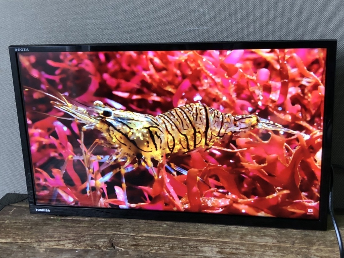 一部予約 東芝 REGZA 24インチ 液晶テレビ 24S24 educationjournal.org