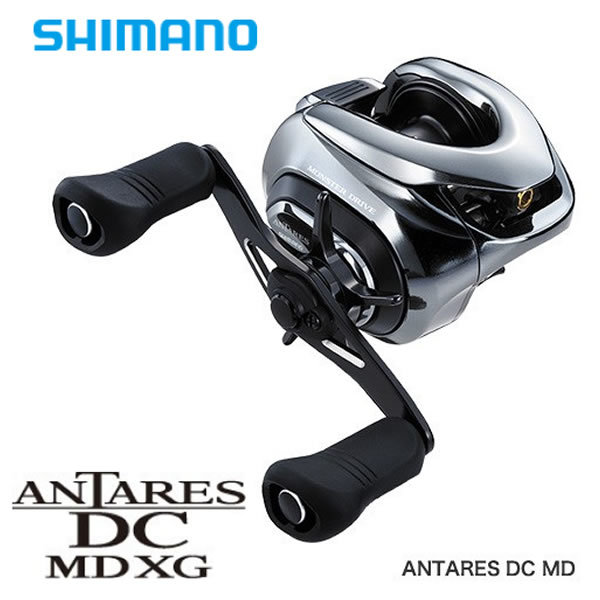 流行店 【新品未使用】22バンタムxg ベアリング追加 検索 ジリオン