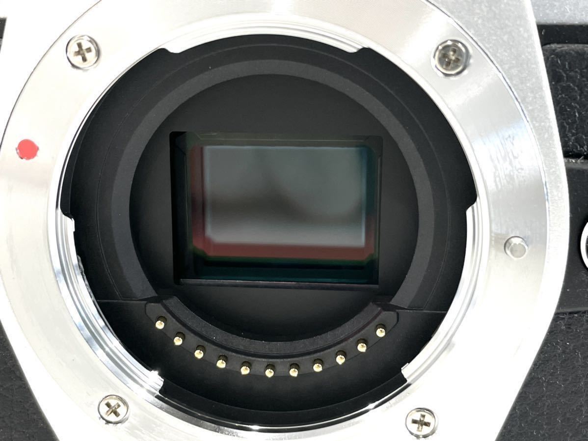 美品 OLYMPUS オリンパス ミラーレス一眼レフカメラ OM-D E-M10Ⅱ MarcⅡ マーク2 ボディ M.ZUIKO DIGITAL ED  12-50mm F3.5-6.3EZ レンズ