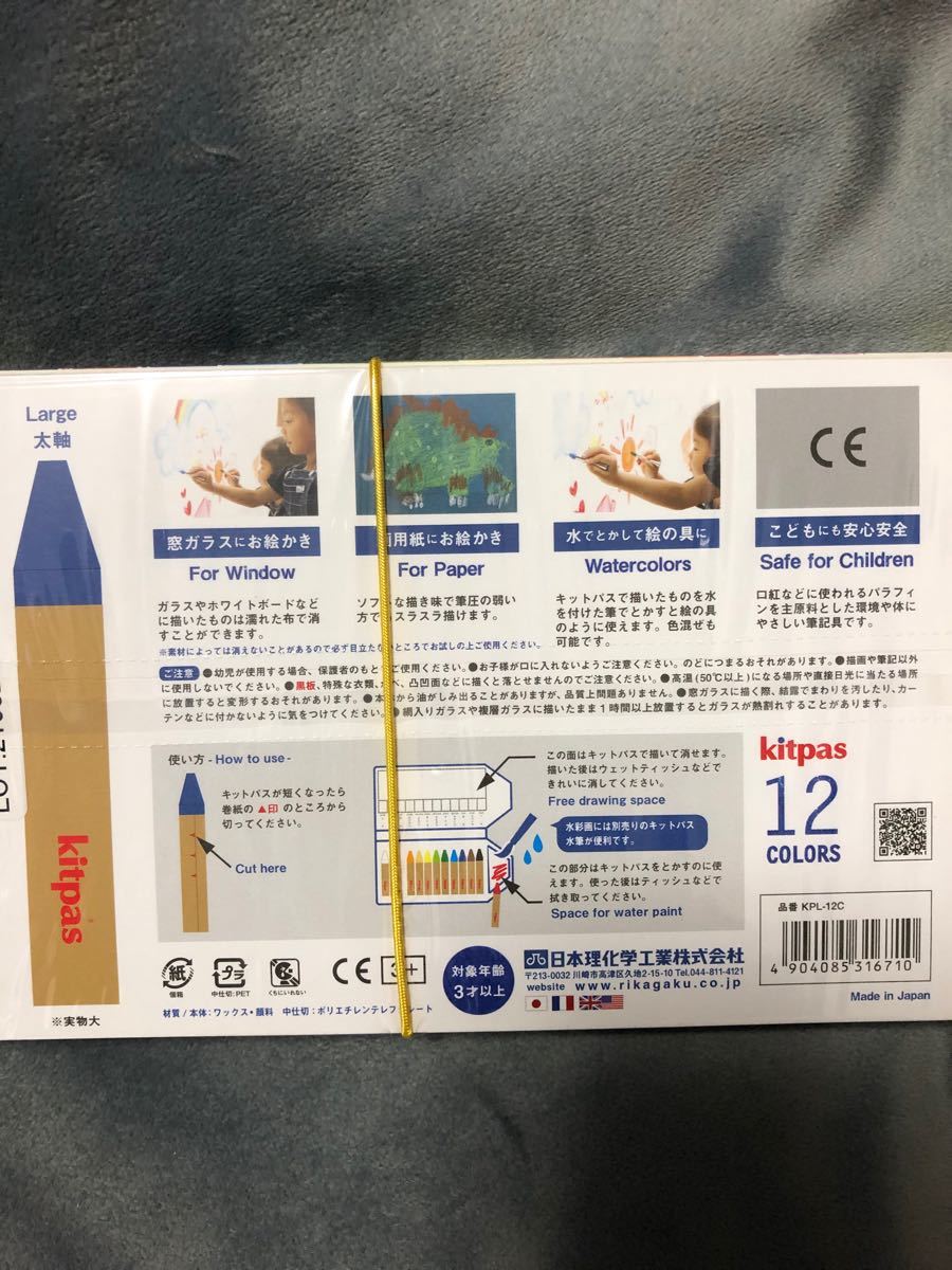 固形水彩付き塗り絵  お絵描きセット 子供専用ぬりえ 昆虫のパラダイス