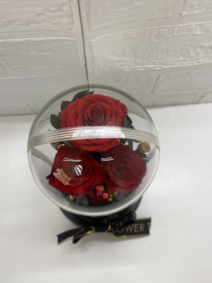  preserved flower 