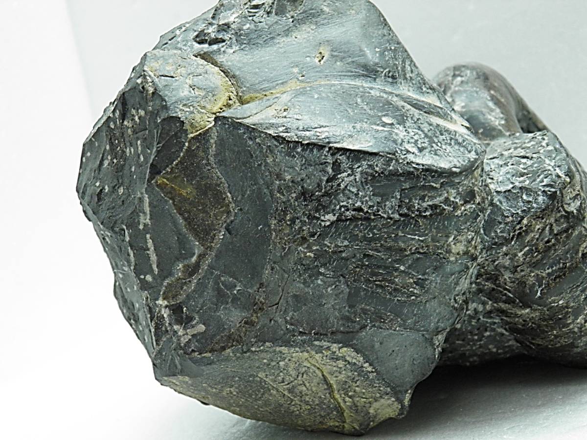 【鉱物・化石シリーズ】北海道産◆アンモナイト◆化石◆⑰_画像8