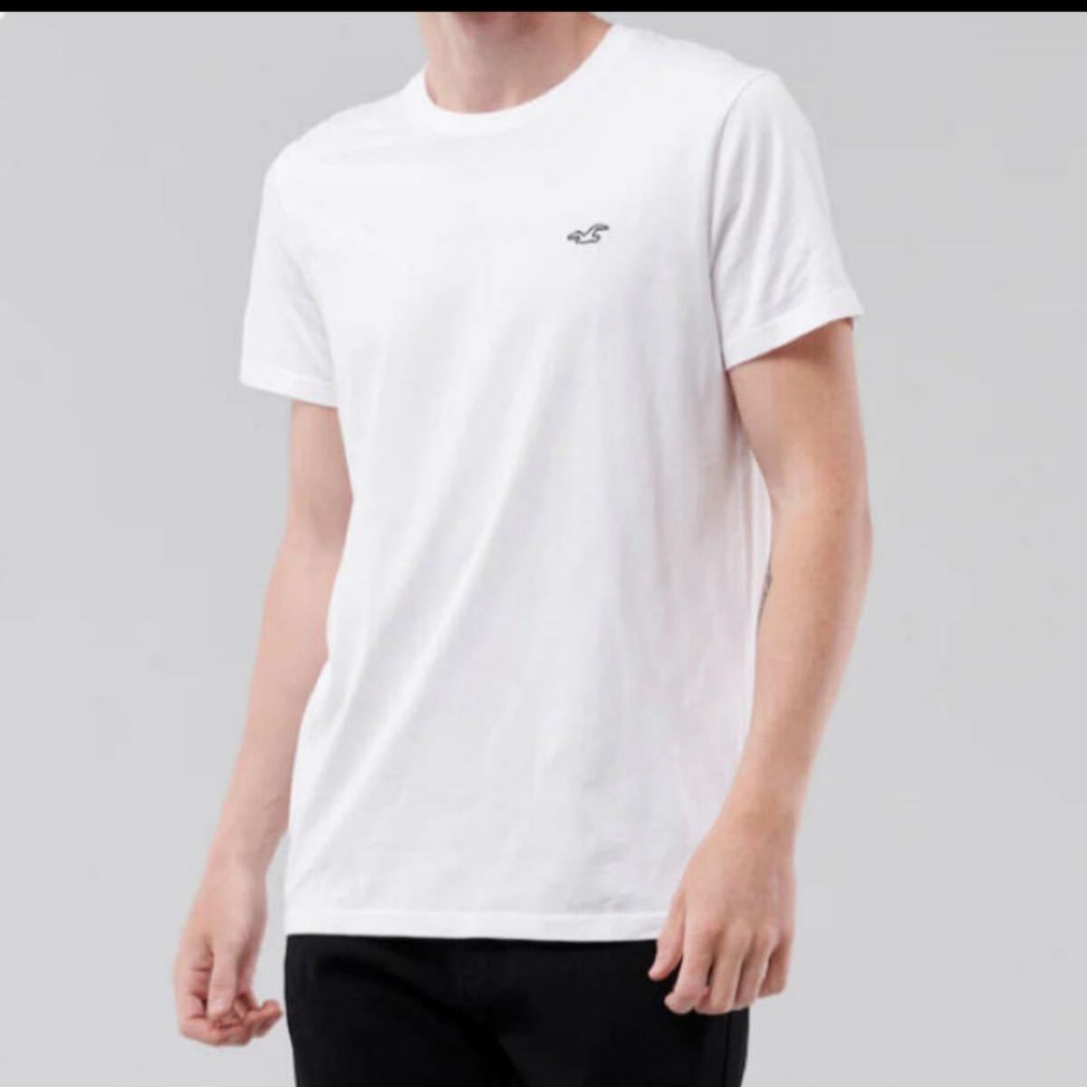 HOLLISTER マストハブ クルーネックTシャツ サイズ:XL Tシャツ ホリスター 半袖Tシャツ