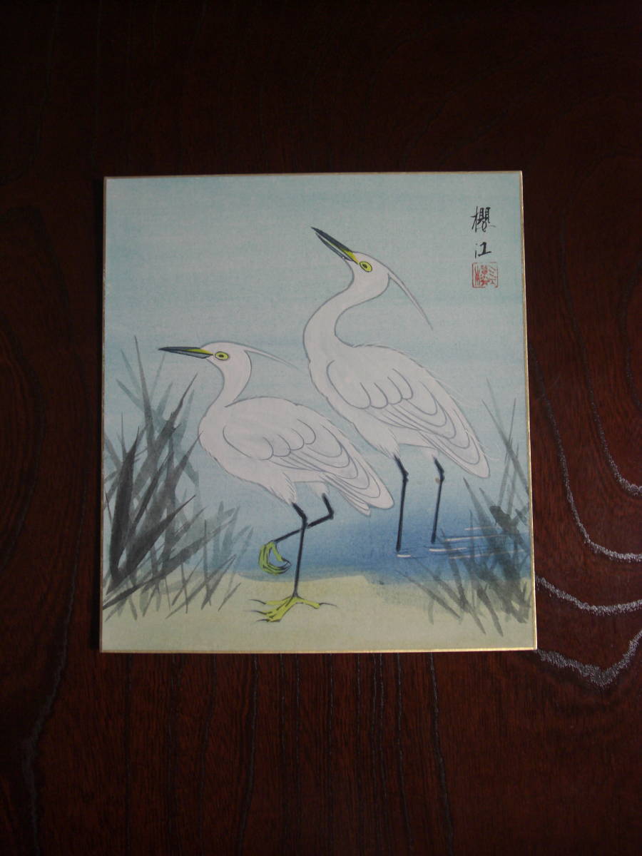 色紙　 二羽の　白鷺　　シラサギ　（櫻江　画）　（肉筆）_画像1