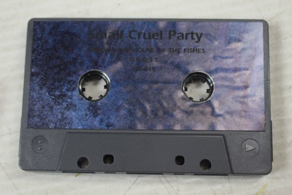 E04/ Small Cruel Party - Unroof The House Of The Fishes/2re year покрытие кассетная лента шум 