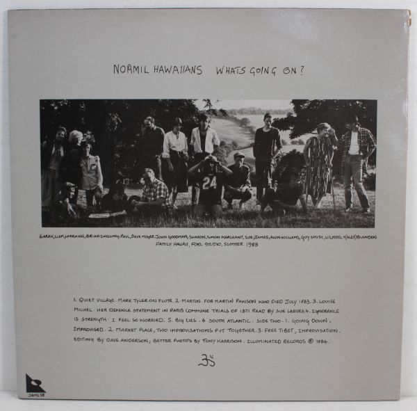 L04/LP/Normil Hawaiians Whats Going On?/UKorg/JAMS38_画像2