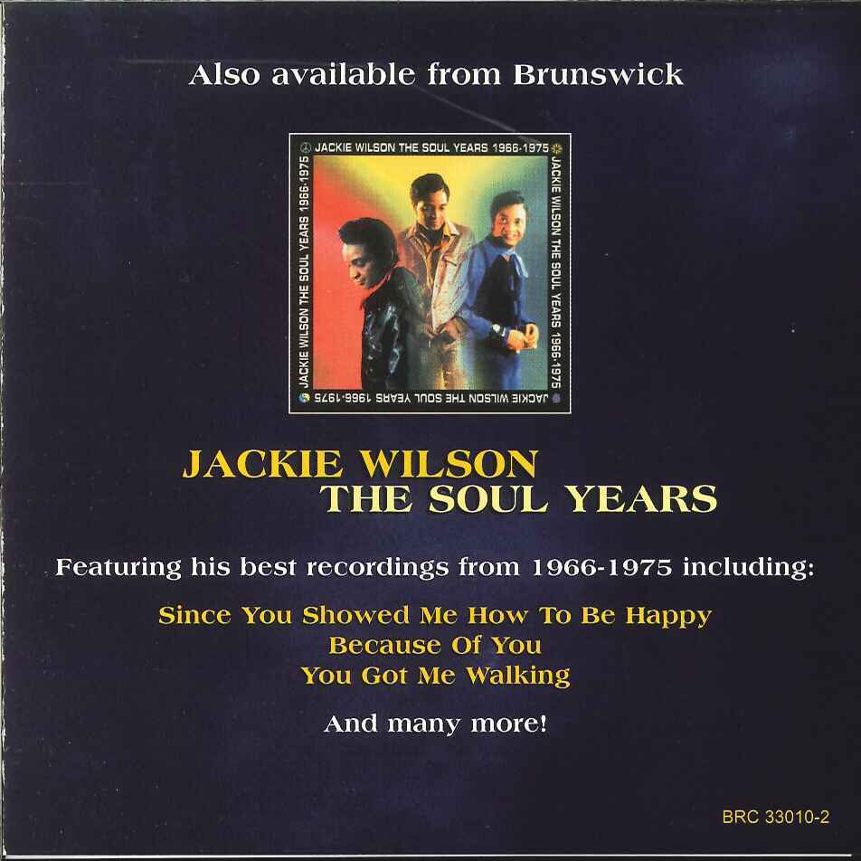 【新品同様 (Brunswick Records】 JACKIE WILSON ジャッキー・ウィルソン／20 Greatest Hits_画像3