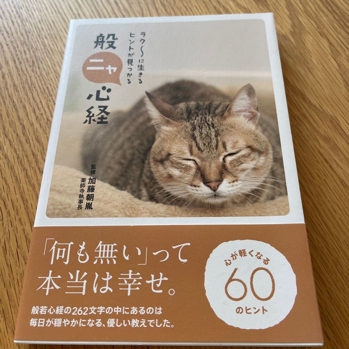 般ニャ心経 ラク〜に生きるヒントが見つかる/加藤朝胤