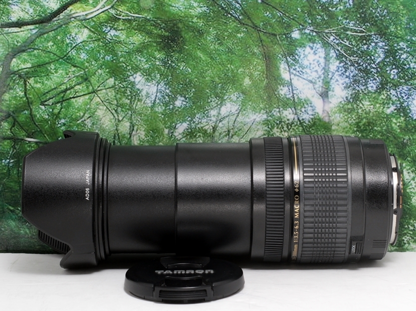 Canon EOS7D TAMRON AF 28-300mm 1:3.5-6.3 - デジタルカメラ