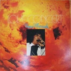 SHIGERU MATSUZAKI （松崎しげる） / LOVE CONCERT (LP)_画像1