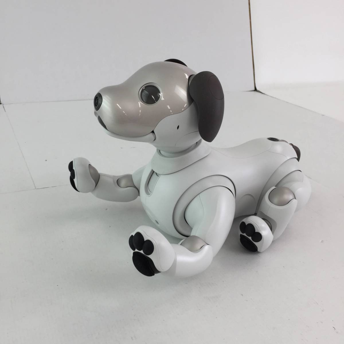 SONY aibo ERS-1000 アイボ エンターテインメントロボット 犬
