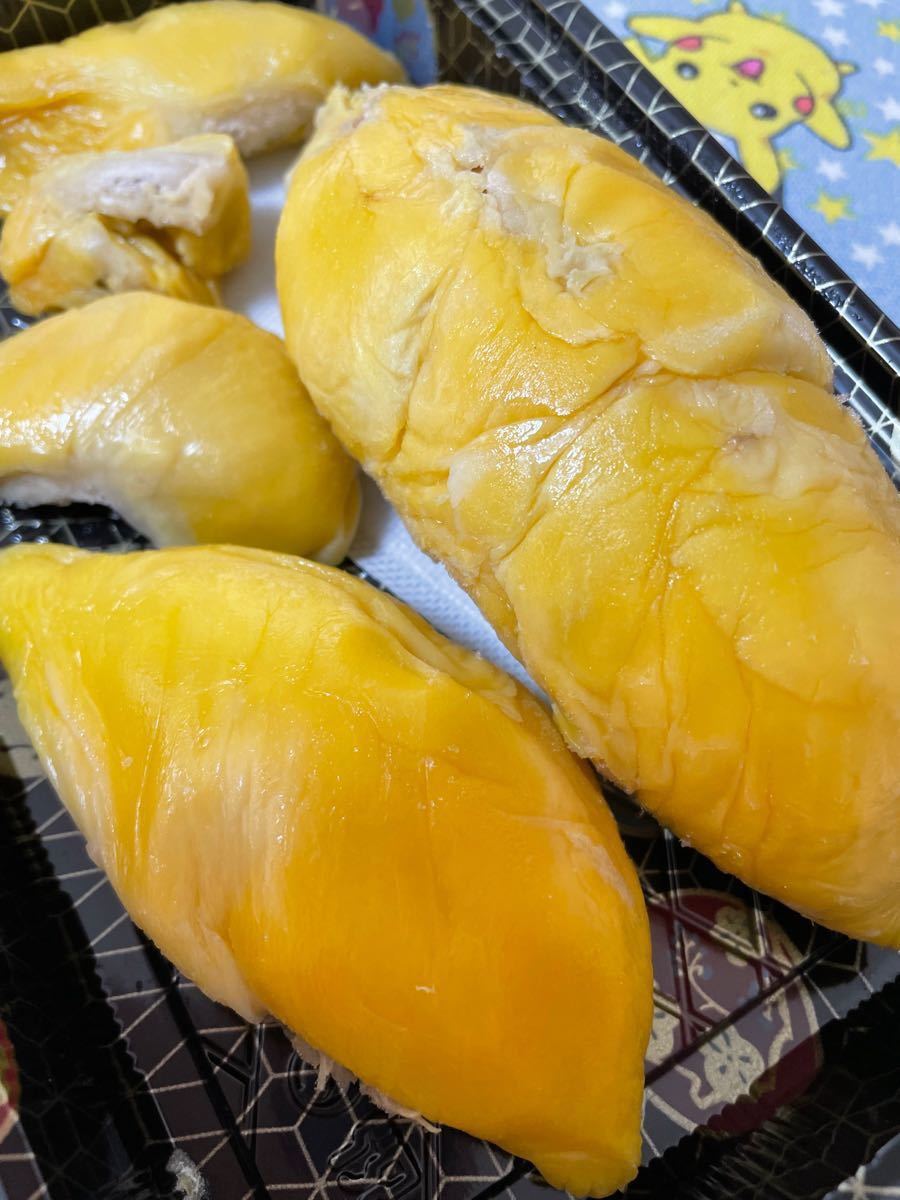 冷凍ドリアン300g 猫山王 6パック www.lram-fgr.ma