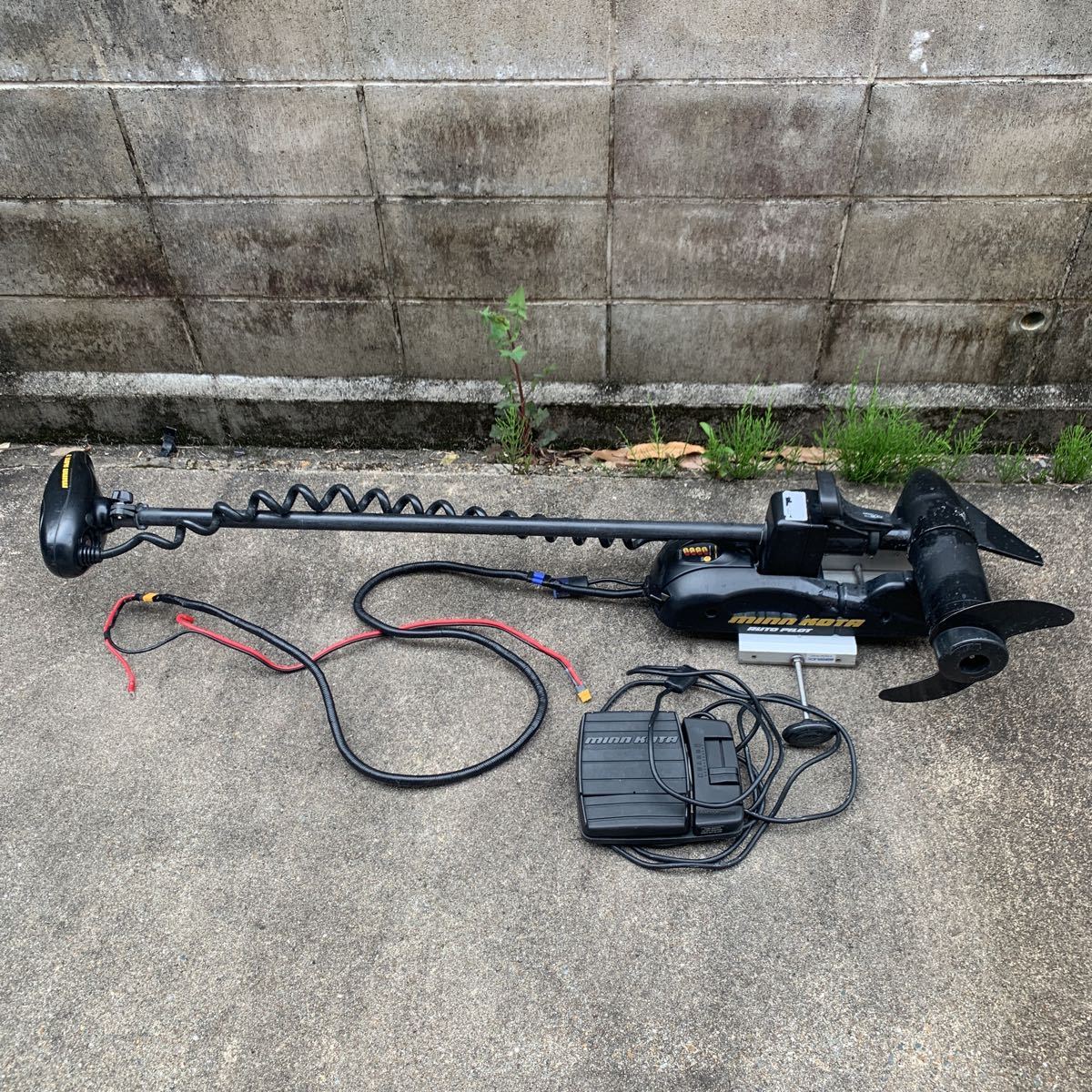 ミンコタ エレキ55lb48インチオートスパンカー | reddoorpediatric.com