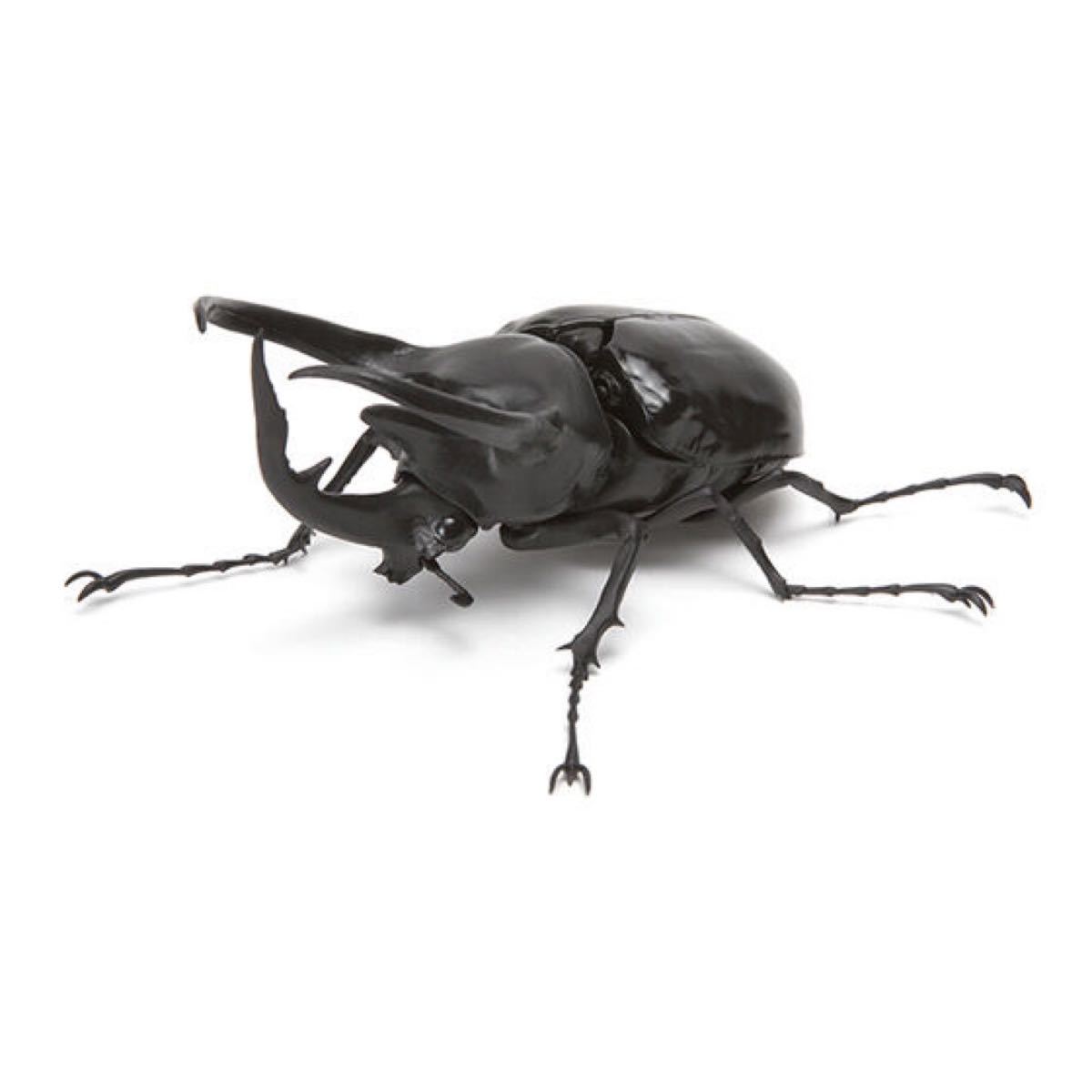 いきもの大図鑑 オオクワガタ コーカサスオオカブト フィギュアセット