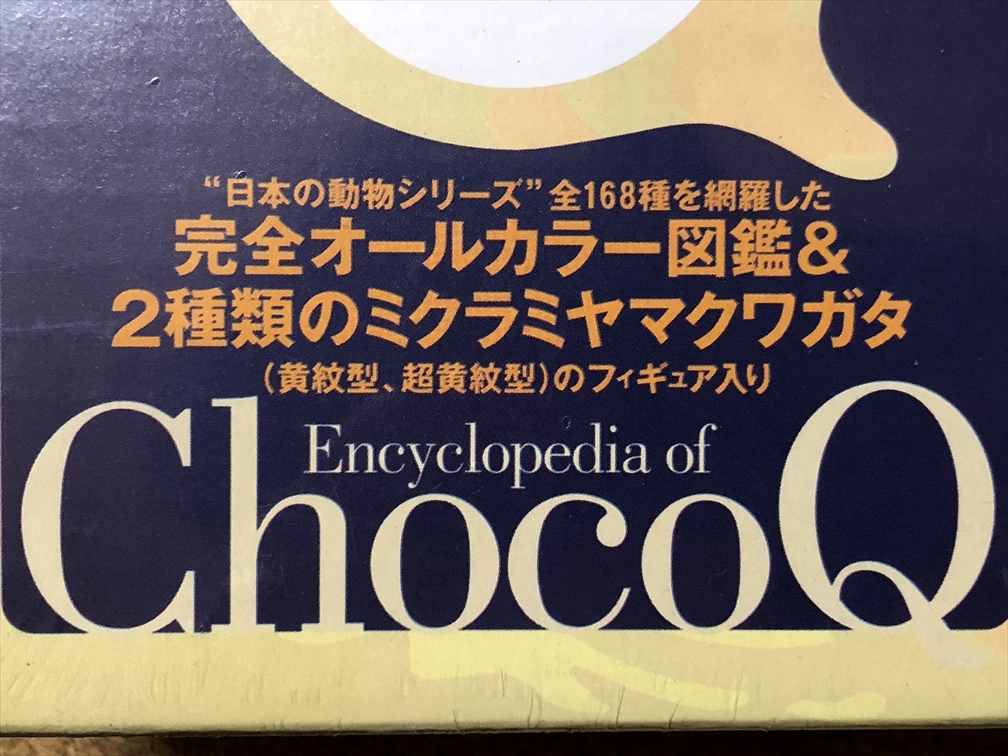 【チョコＱ　１】チョコＱ百科　ミクラミヤマクワガタ_画像6