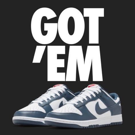 26.0cm新品未使用 DUNK LOW Valerian Blue NIKE ナイキ ダンク