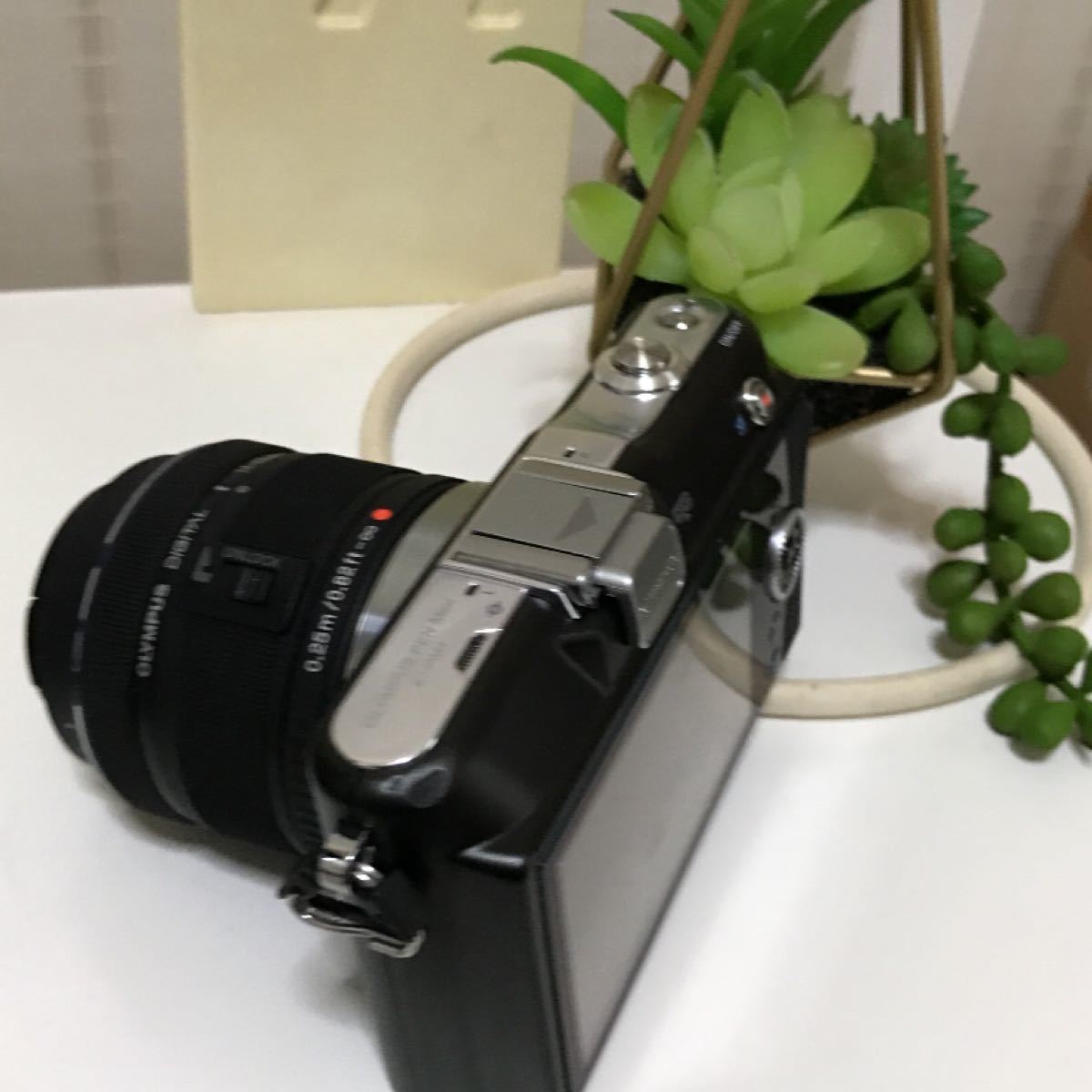 ☆Wi-Fi☆オリンパス PM1 ミラーレスカメラ | bedouingardenvillage.com