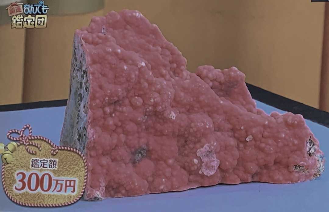 寿宝の華】〜なんでも鑑定団300万円品超え!12.2kg博物館級 寿宝の華】〜なんでも鑑定団300万円品超え!12.2kg博物館級