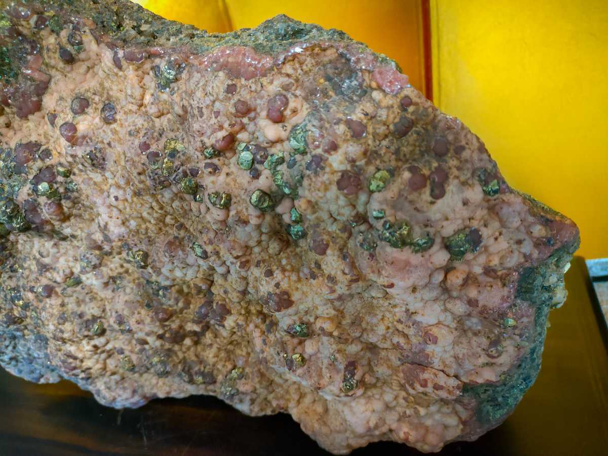 寿宝の華】〜なんでも鑑定団300万円品超え!12.2kg博物館級 寿宝の華】〜なんでも鑑定団300万円品超え!12.2kg博物館級