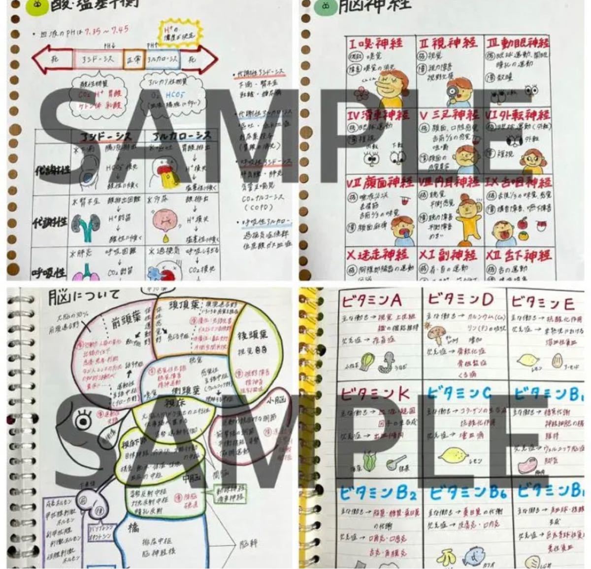 激安！！看護師国家試験まとめノート 付箋ノート 解剖生理学 国試 看護学生