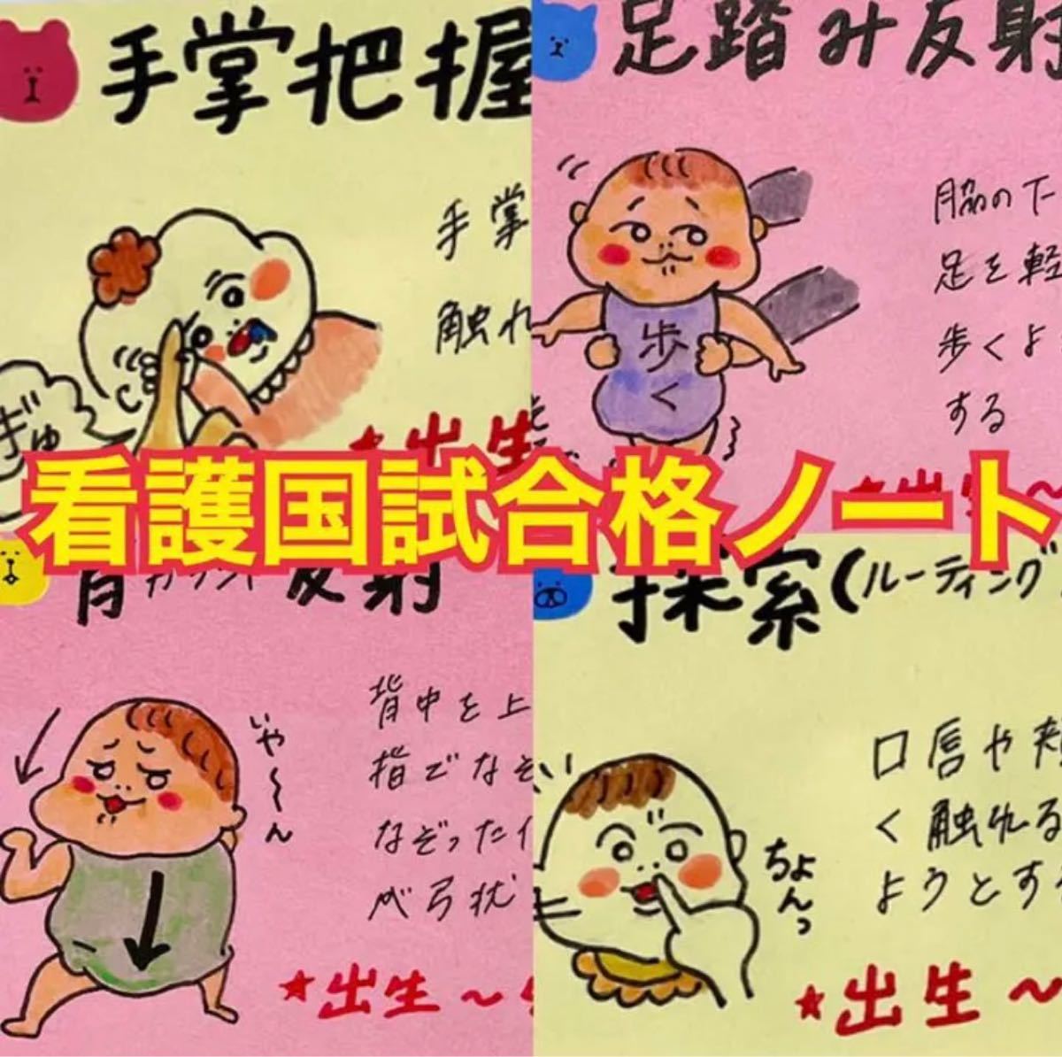 激安 看護師国家試験まとめノート 付箋ノート 解剖生理学 国試 激安 看護師国家試験まとめノート 付箋ノート 解剖生理学 国試