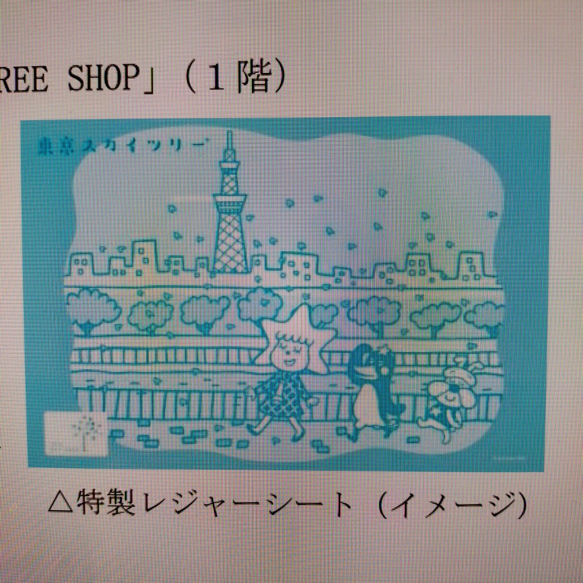 スカイツリー 非売品レジャーシート 21年最新海外