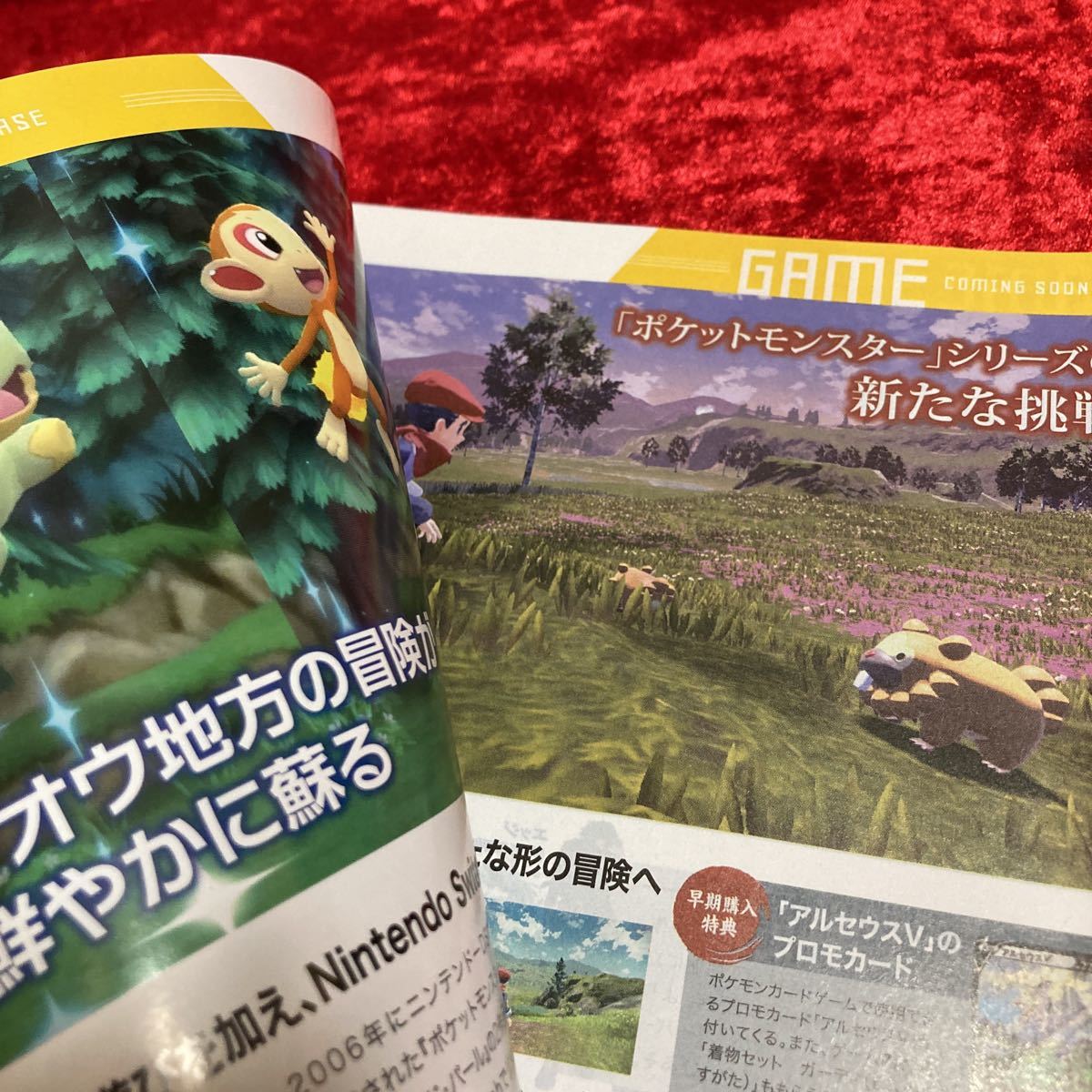 【ゲオナビ】 GEO 冊子 2021年 5月号 vol.232 11月号 vol.238 ポケットモンスター ポケモンスナップ 新解釈三國志 ゴジラVSコング_画像5