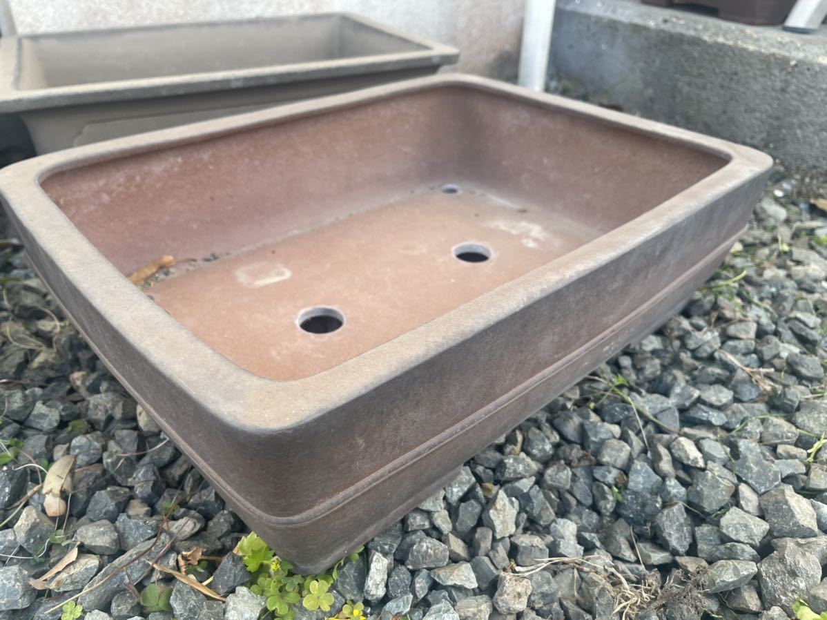 ☆立華堂製 ☆大正常滑 大正時代 植木鉢 植え替え 42cm 紫泥盆栽鉢