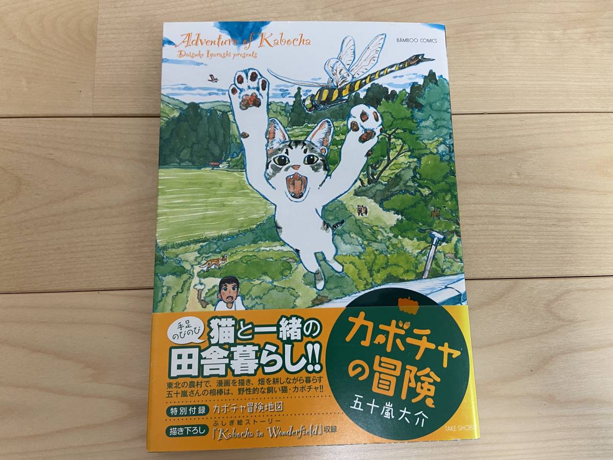 ヤフオク カボチャの冒険 五十嵐大介 帯付 送料無料 猫 漫 ヤフオク カボチャの冒険 五十嵐大介 帯付 送料無料 猫 漫