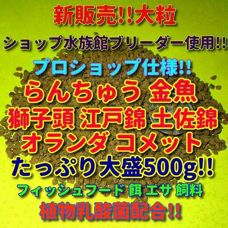 新販売 大粒 500g!! 餌 ショップ 水族館使用 らんちゅう 和金 土佐錦 丹頂 大盛 エサ 飼料 プロ仕様 沈下 熱帯魚 観賞魚 フィッシュフード_画像6