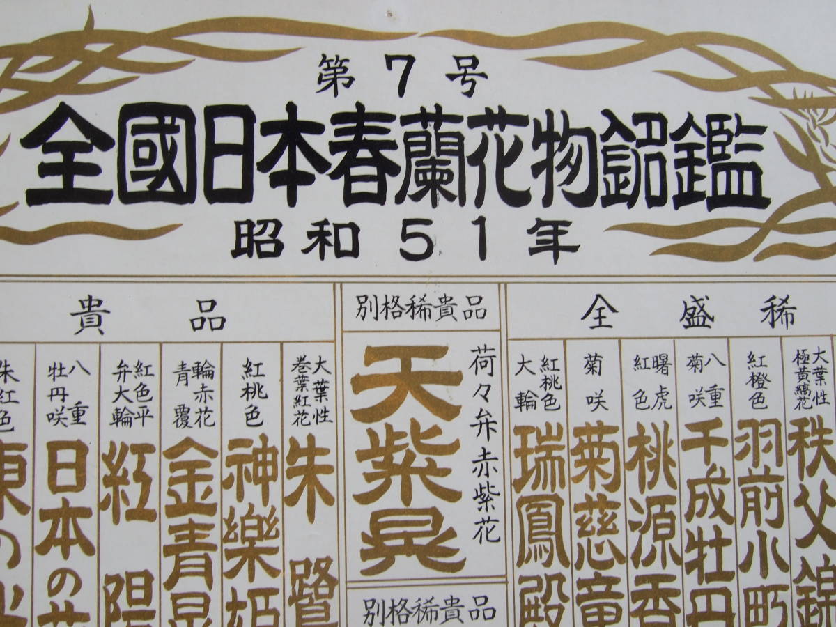 第7号 昭和51年 1976年 全國日本春蘭花物銘鑑 /柄物銘鑑 全國日本春蘭連合会 番付表 ２枚_画像2