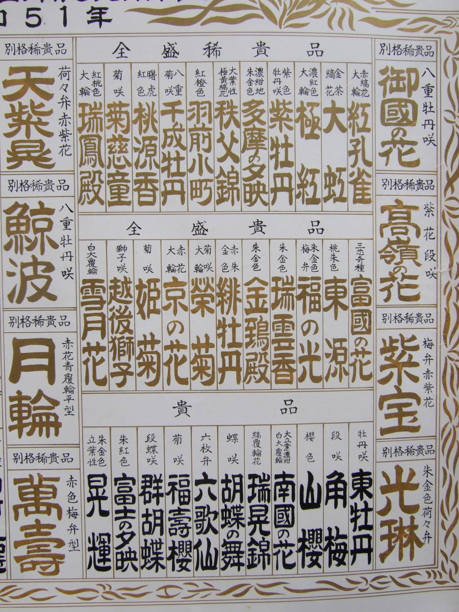 第7号 昭和51年 1976年 全國日本春蘭花物銘鑑 /柄物銘鑑 全國日本春蘭連合会 番付表 ２枚_画像3