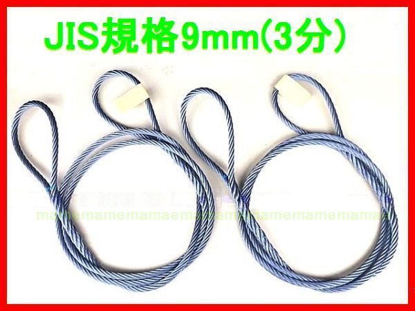 JIS規格 ワイヤロープ【玉掛ワイヤーロープ】９ｍｍ３分/３Ｍ 編み込み ...