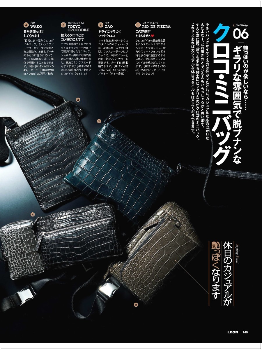 LEON掲載】スモールクロコダイルマットショルダーバッグ ccorca.org