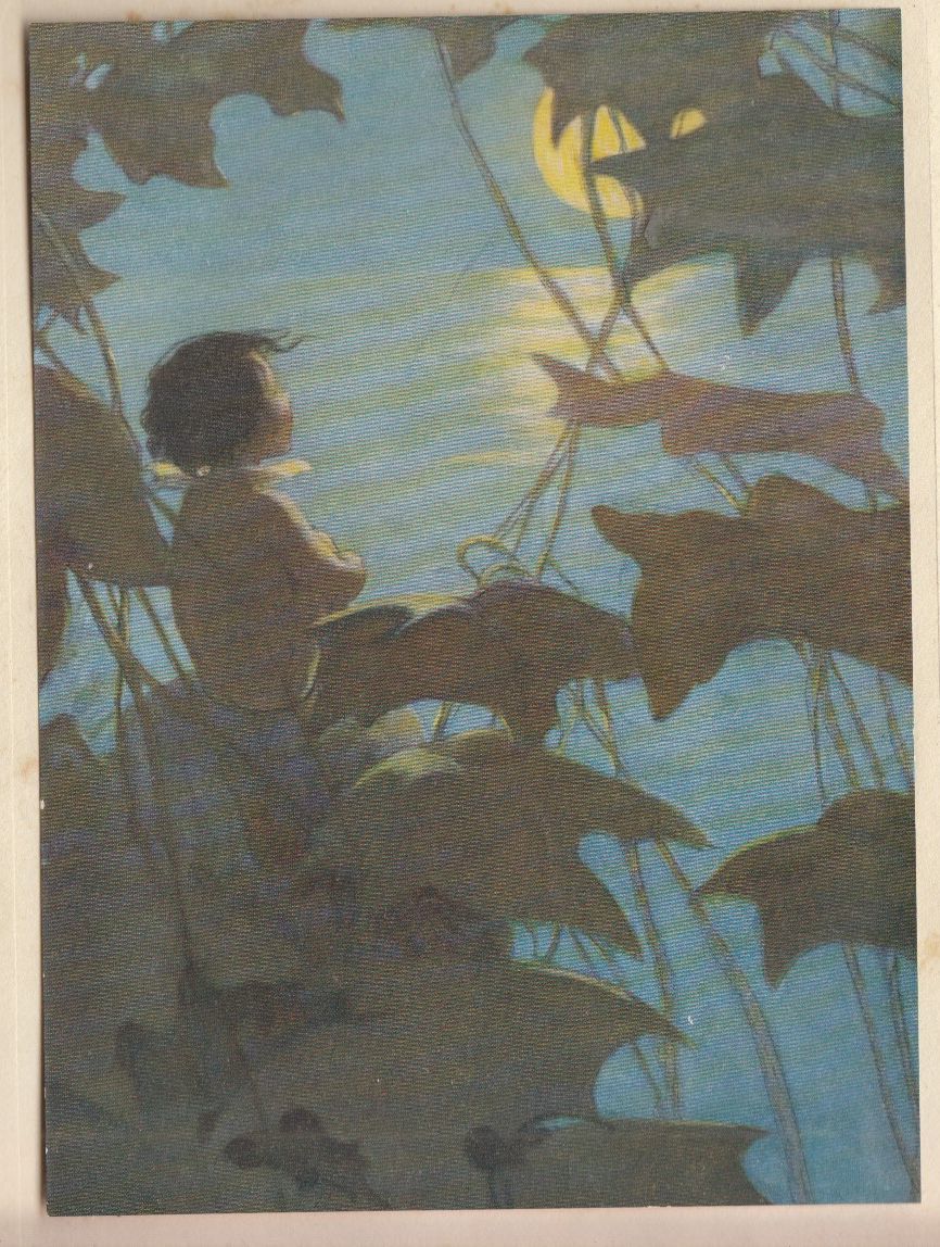  желтый золотой период . книга с картинками *J*wi Le Coq s* Smith ./ вода. ./ King z Lee * Британия 1929 год 