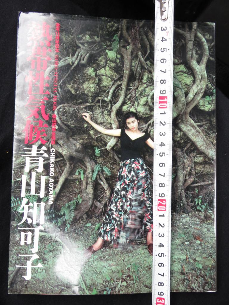 Yahoo!オークション - 青山知可子 熱帯性気候 写真集 初版 第1版 Yahoo!オークション - 青山知可子 熱帯性気候 写真集 初版 第1版