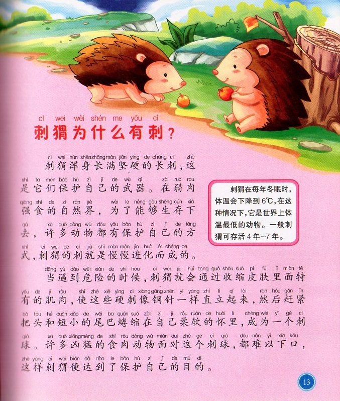 ヤフオク 可愛い動物 子供最も興味がある十 ヤフオク 可愛い動物 子供最も興味がある十