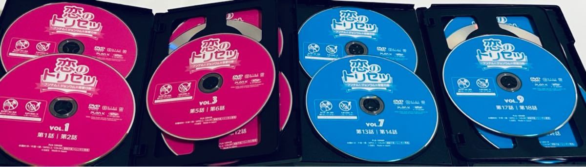 恋のトリセツ　フンナムとジョンウムの恋愛日記　スペシャルエディション版　全１２巻　レンタル版DVD 全巻セット　韓国ドラマ