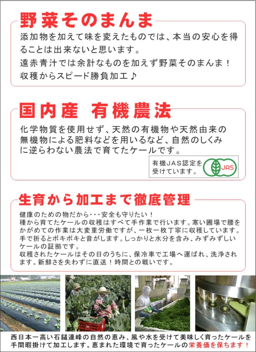 在庫定番 遠赤青汁 V1GOLD 1250粒ビン 遠赤青汁 株式会社 スーパーフジ