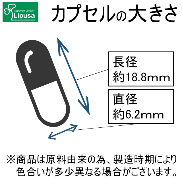 【リプサ公式】 クマザサ(熊笹) 約3か月分×2袋 C-216-2 サプリメント サプリ 健康食品 ダイエット 送料無料_形状