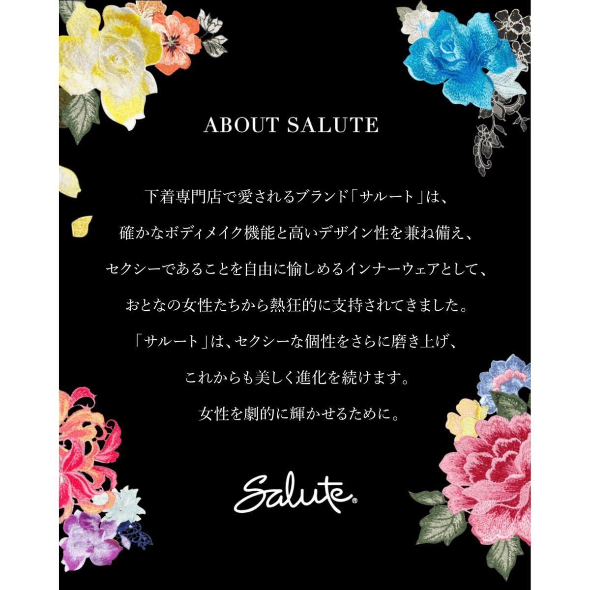 国産品 サルート ブラジャー ワコール Salute WACOAL ショーツ 16点 ...