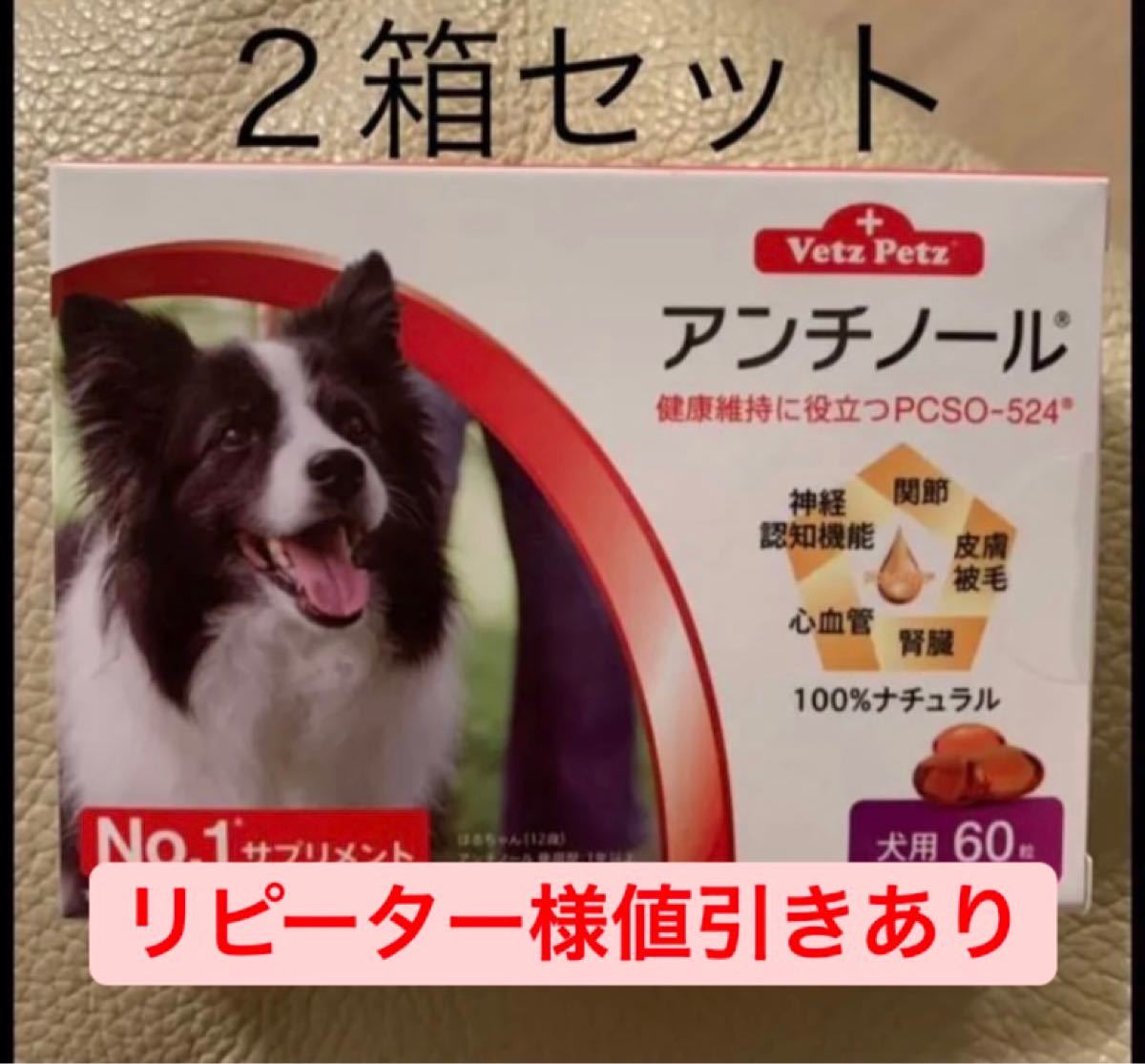アンチノール 60粒入り 2箱セット www.lram-fgr.ma