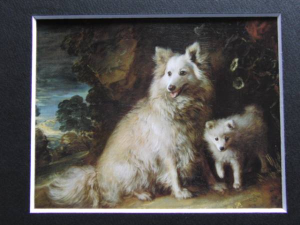  Thomas * gain z rose,pomelani Anne. female dog .. dog, dog, rare book of paintings in print .., high class new goods amount * frame attaching, condition excellent, free shipping 