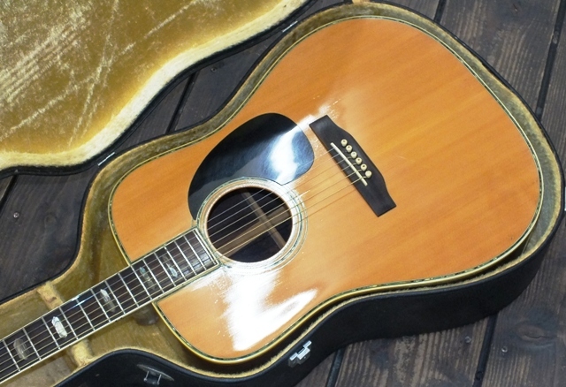 MOUNTAIN W-500D マウンテン アコースティックギター ハードケース付き