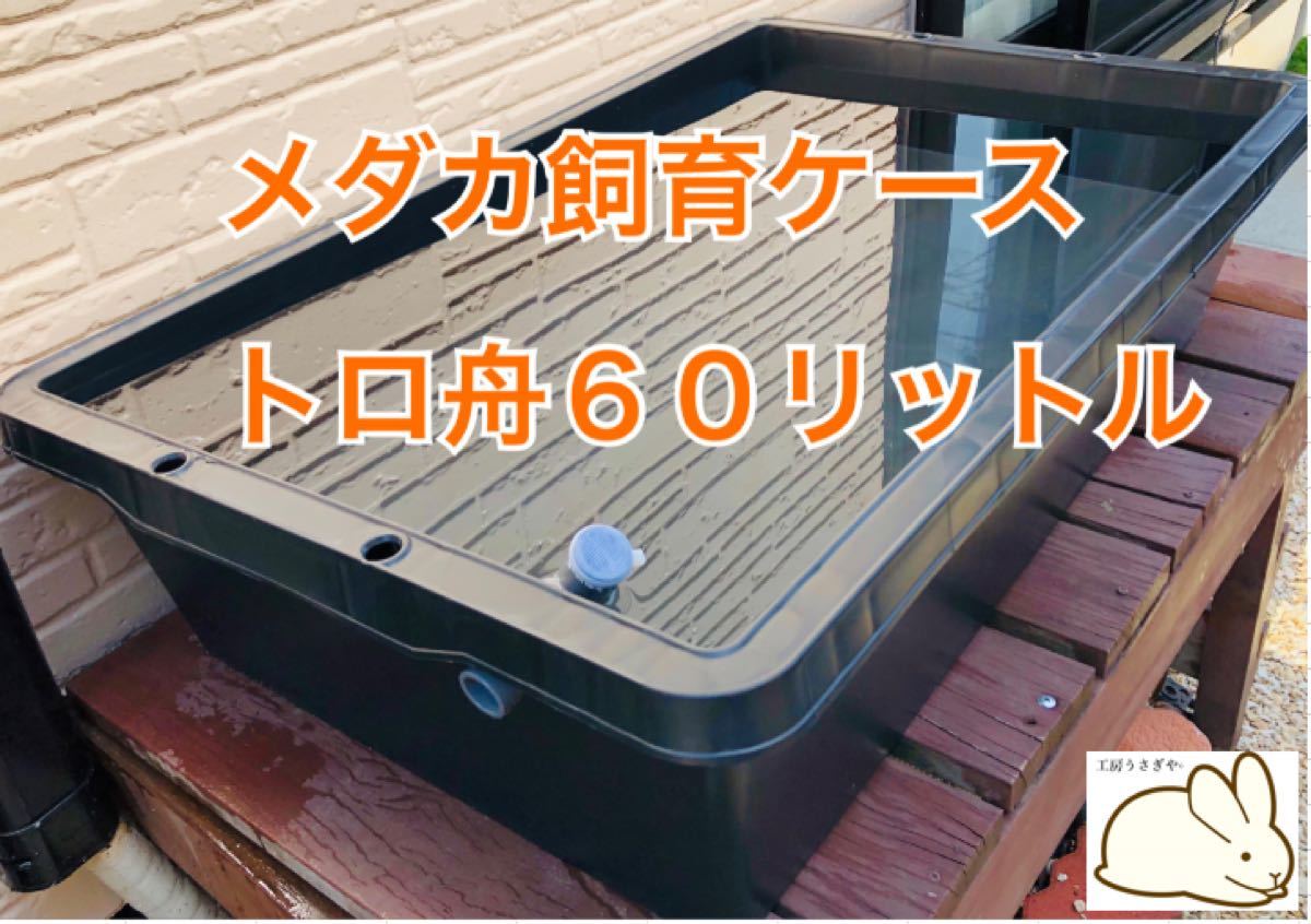 メダカ飼育ケース【プラ舟60リットル】ビオトープ|Yahoo メダカ飼育ケース【プラ舟60リットル】ビオトープ|Yahoo