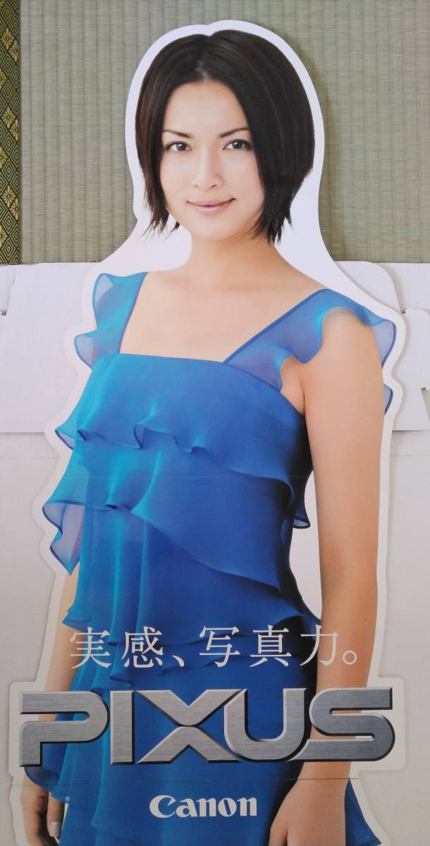  Hasegawa Kyoko в натуральную величину panel 